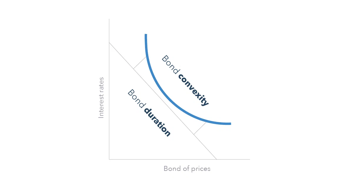 Дюрация (bond duration) измеряет линейную зависимость цены облигации от изменения процентных ставок, выпуклость (bond convexity) дополняет ее, чтобы точно отражать изменение цены при больших изменениях ставок