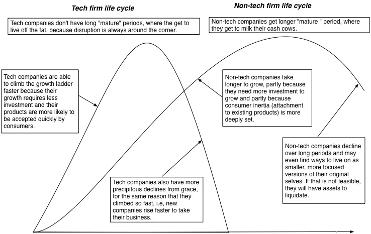 Жизненный цикл компании технологического сектора